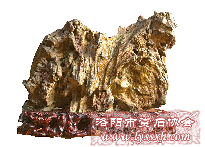 沙漠之舟（彭海）35x26 木化石